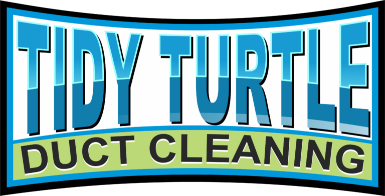 TidyTurtle logo-768x392